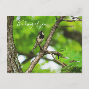Just Sitting Around Thinking Of You Postcard