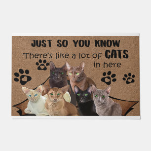 Just So You Know There's Like A Lot Of Cats In Her Doormat