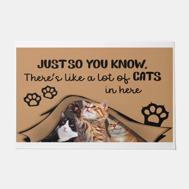 Just So You Know There's Like A Lot Of Cats In Her Doormat (Front)