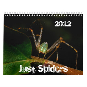 Just Spiders Calendar, 2012 Calendar