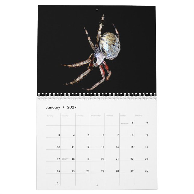Just Spiders Calendar, 2012 Calendar (Jan 2027)