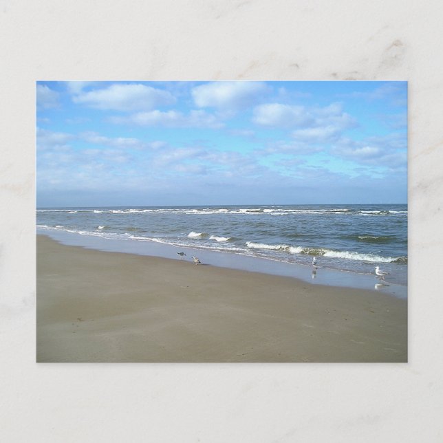 Just the Beach Postcard (Front)