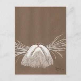 just the cats whiskers postcard