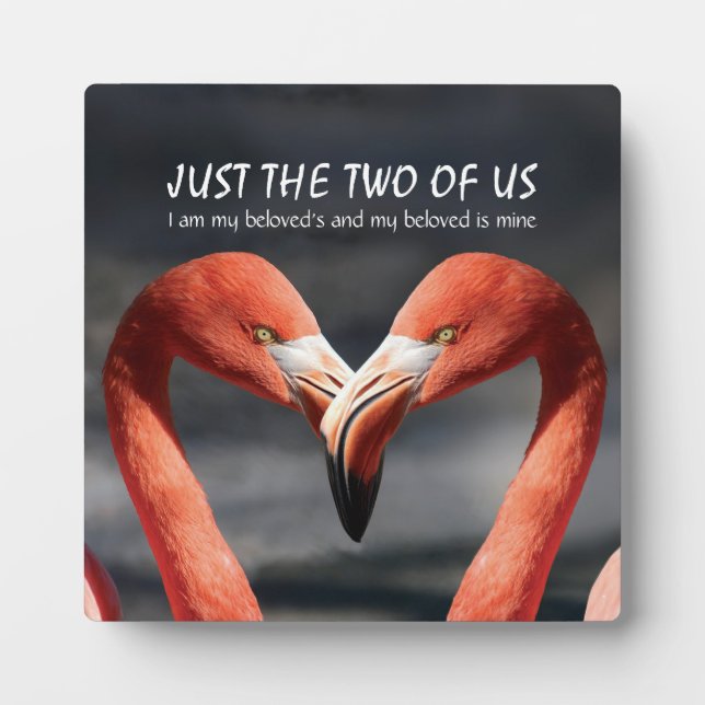 JUST THE TWO OF US Flamingo Valentine Christian Plaque (Front)
