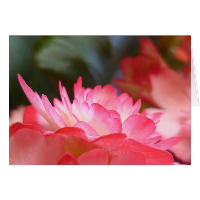 Just Three Things (Front Horizontal)