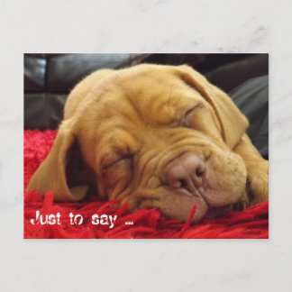 Just to say .... postcard
