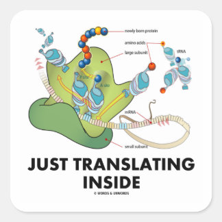 Just Translating Inside (Protein Synthesis) Square Sticker