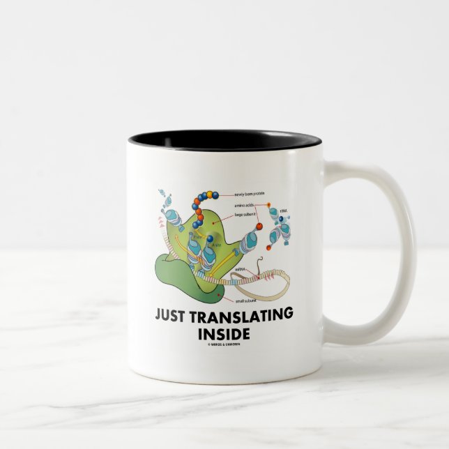 Just Translating Inside (Protein Synthesis) Two-Tone Coffee Mug (Right)