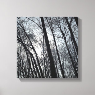Just Trees Canvas Print