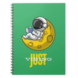 Just Vibing  Notebook