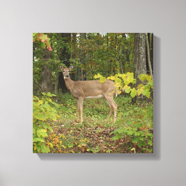 Just Waiting Canvas Print (Front)