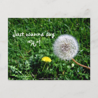 Just wanna say "Hi"! Dandelions Greetings Postcard