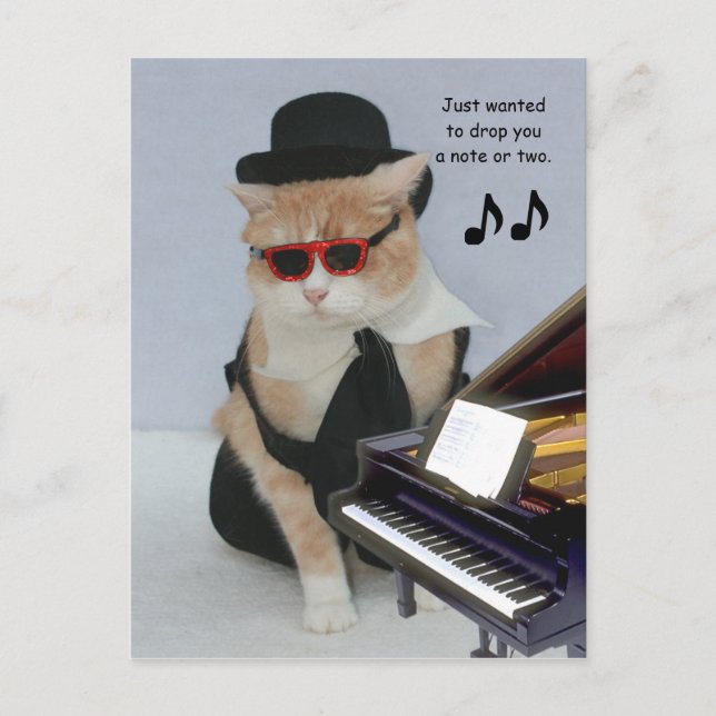 Just Wanted to Drop You a Note Postcard (Front)