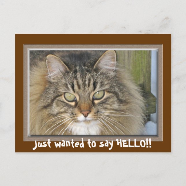 Just wanted to say HELLO!! Postcard (Front)