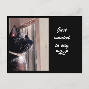 JUST WANTED TO SAY "HI!' Kitty postcard