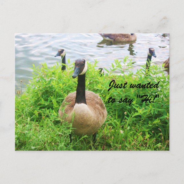 JUST WANTED TO SAY "HI!" postcard (Front)