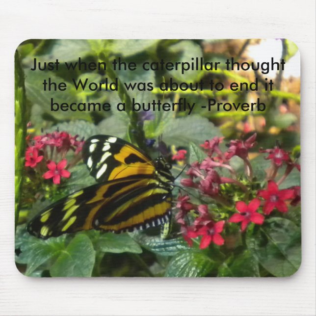 Just when the Caterpillar thought... Mouse Mat (Front)