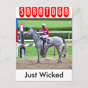 Just Wicked Reflects Postcard