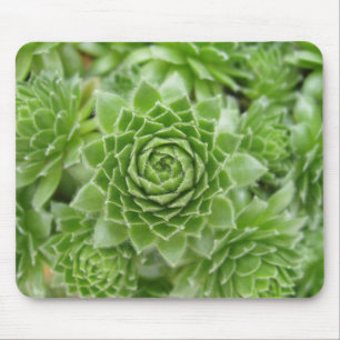 Just WOW! Mouse Mat