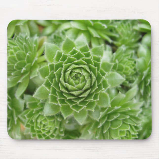 Just WOW! Mouse Mat (Front)