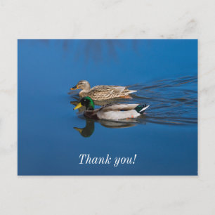 Just You And Me Postcard