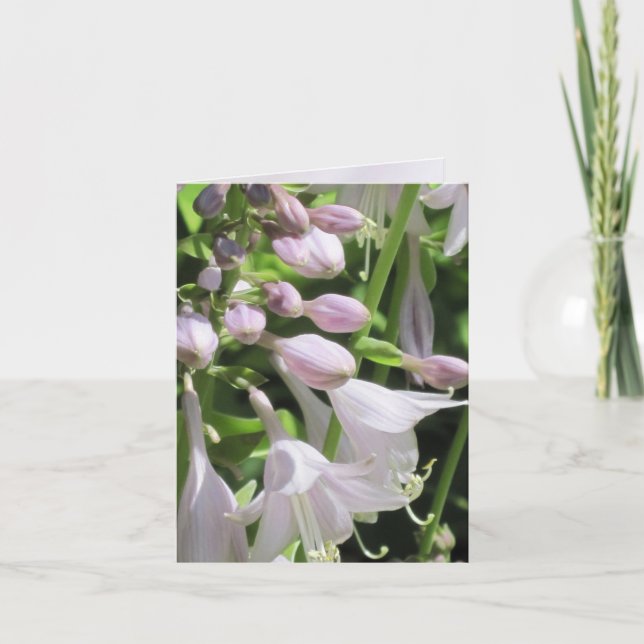 Justa Hosta customisable Notecard or Greeting Card (Front)