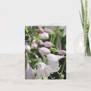 Justa Hosta customisable Notecard or Greeting Card