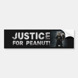 Justice for Peanut the Squirrel  BUMPER STICKER 