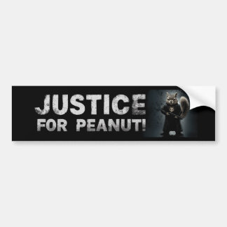 Justice for Peanut the Squirrel BUMPER STICKER