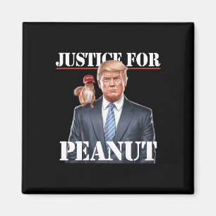 Justice For Peanut The Squirrel – Christmas Xmas S Magnet