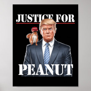 Justice For Peanut The Squirrel – Christmas Xmas S Poster