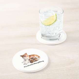 Justice for Wang Wang Coaster