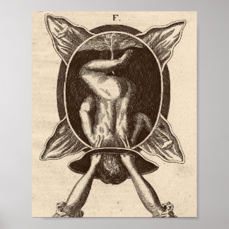 Justine Siegemund Court Midwife Birth Illustration Poster