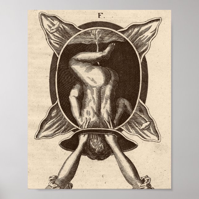 Justine Siegemund Court Midwife Birth Illustration Poster (Front)