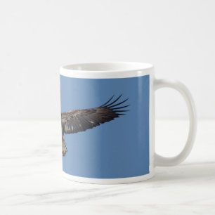 Juvenile Bald Eagle in flight Coffee Mug