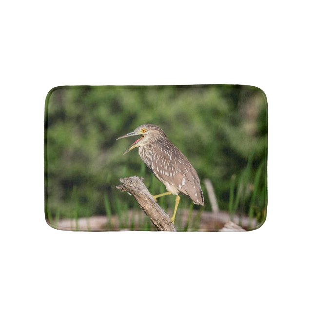 Juvenile Black Crowned Night Heron Bath Mat (Front)