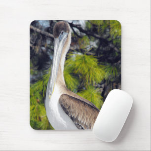 Juvenile Brown Pelican Mouse Mat