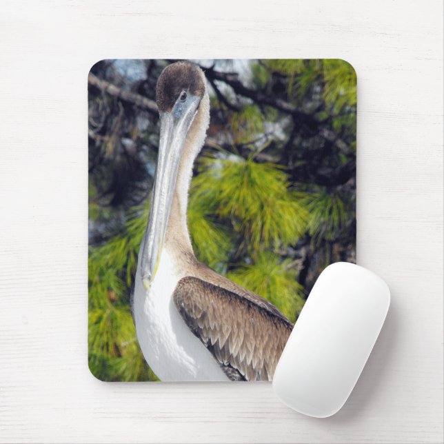 Juvenile Brown Pelican Mouse Mat (With Mouse)
