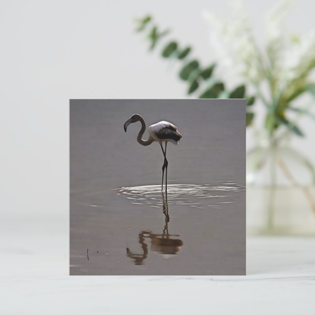 Juvenile Flamingo In Grey With Reflection Holiday Card (Standing Front)