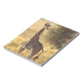 Juvenile Giraffe, Giraffa camelopardalis 2 Notepad (Rotated)