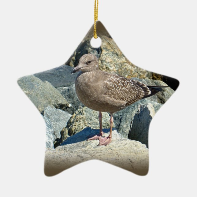 Juvenile Great Black-Backed Gull Ceramic Tree Decoration (Front)