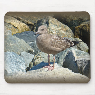 Juvenile Great Black-Backed Gull Mouse Mat