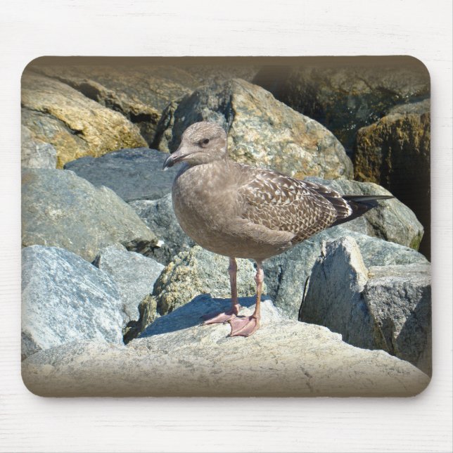 Juvenile Great Black-Backed Gull Mouse Mat (Front)