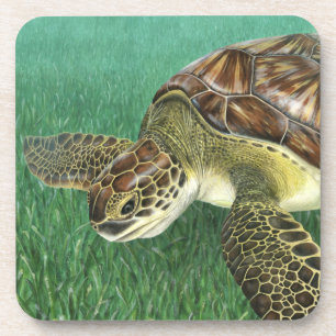Juvenile Green Turtle Coasters