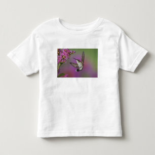 Juvenile male Ruby Throated Hummingbird Toddler T-Shirt