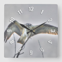 Juvenile Osprey Fish-Eagle Wildlife Photo Clock
