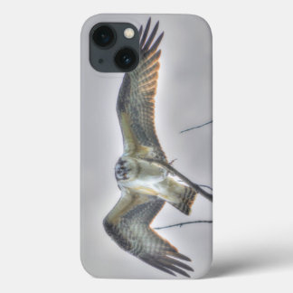 Juvenile Osprey Fish-Eagle Wildlife Photo Scene iPhone 13 Case