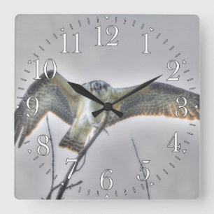 Juvenile Osprey Fish-Eagle Wildlife Photo Scene Square Wall Clock