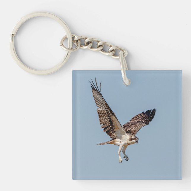 Juvenile Osprey in flight Key Ring (Front)