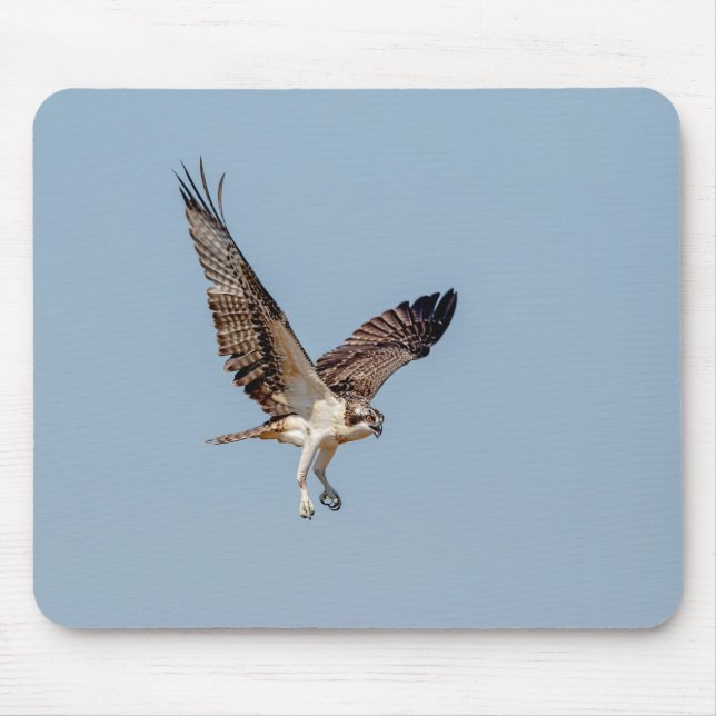 Juvenile Osprey in flight Mouse Mat (Front)